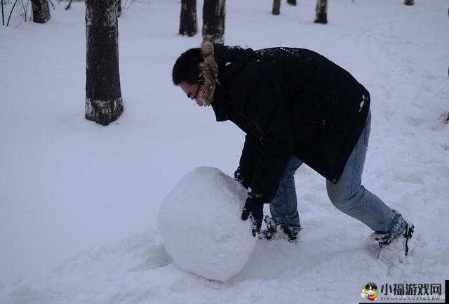 两团雪球快速摇动：一场奇特的景象