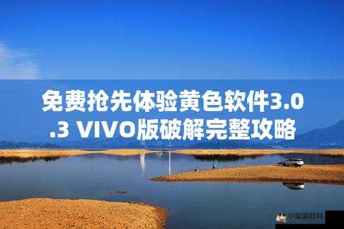 vivo3.0.3 每天无限次破解版大全：畅享无限制体验