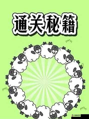 独家秘籍第圈终极大挑战：第300关通关攻略秘籍