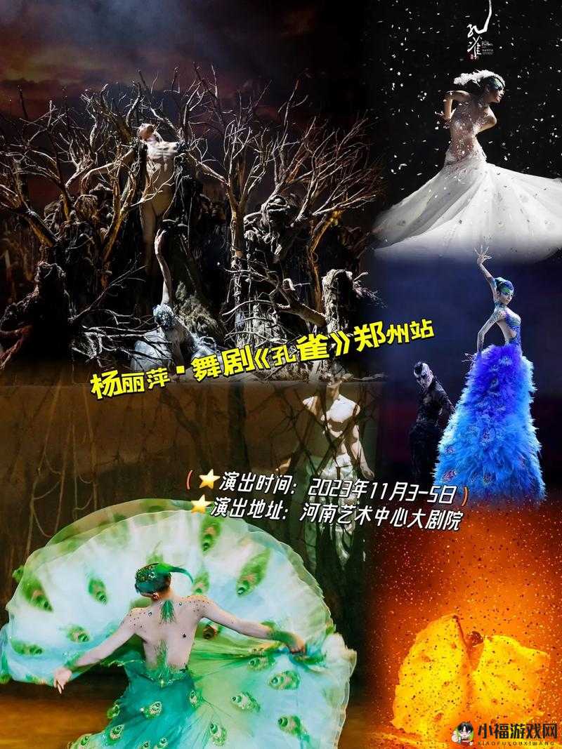 驻留孔雀墙的秘密解码之旅——次难忘的视觉艺术体验