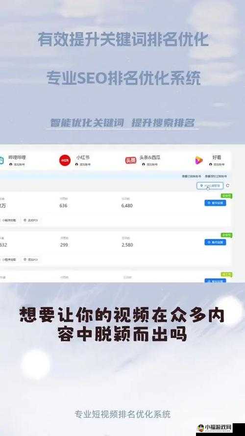 SEO 短视频网页入口引流：轻松开启流量密码