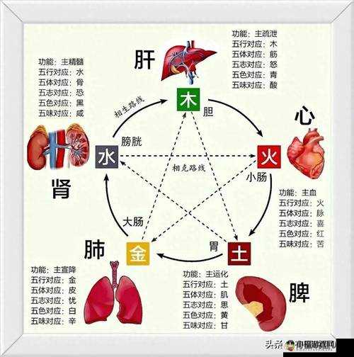 公交车颠簸与运动的区别在哪：探究身体感受的奥秘