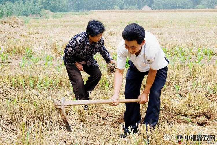 儿子耕种母亲的田地：传承与感恩