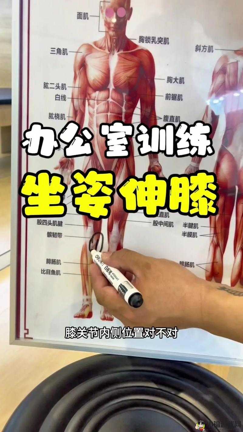 坐姿轮流提双腿能起到什么效：健身作用大揭秘