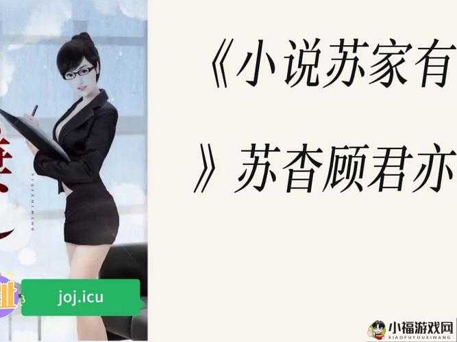 苏家有女 1v5：良心画质，值得一看