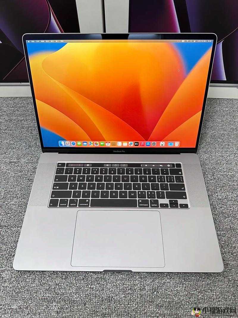 19 岁拥有的欧美款 MacBook Pro