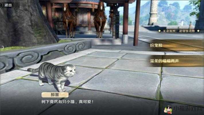 天涯明月刀手游：探索江湖的猫咪伙伴，猫之友攻略秘籍