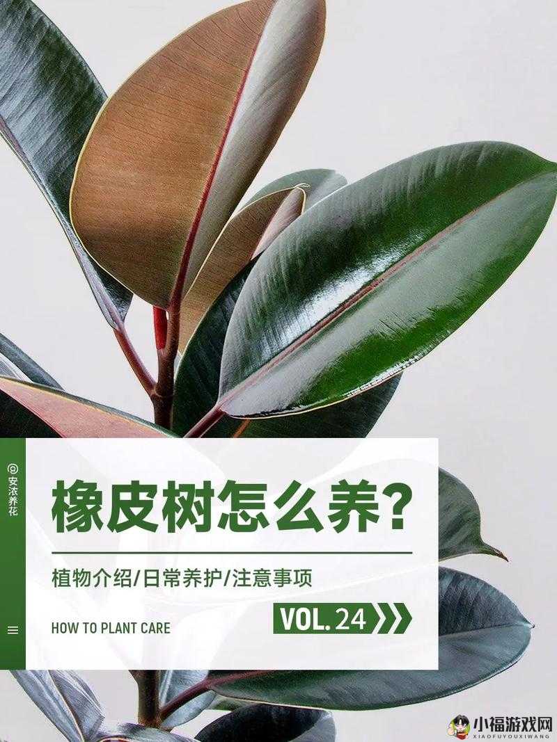 末日希望游戏打极限挑战最佳配件选择攻略 到底哪些配件能助你一臂之力