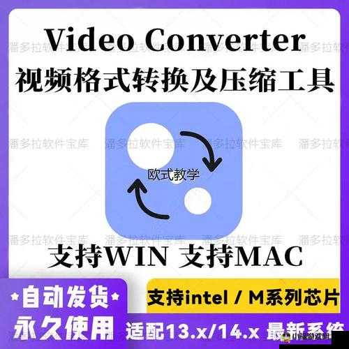 MOVAVI-VIDEO-CONVERTER-MAC 视频转换神器