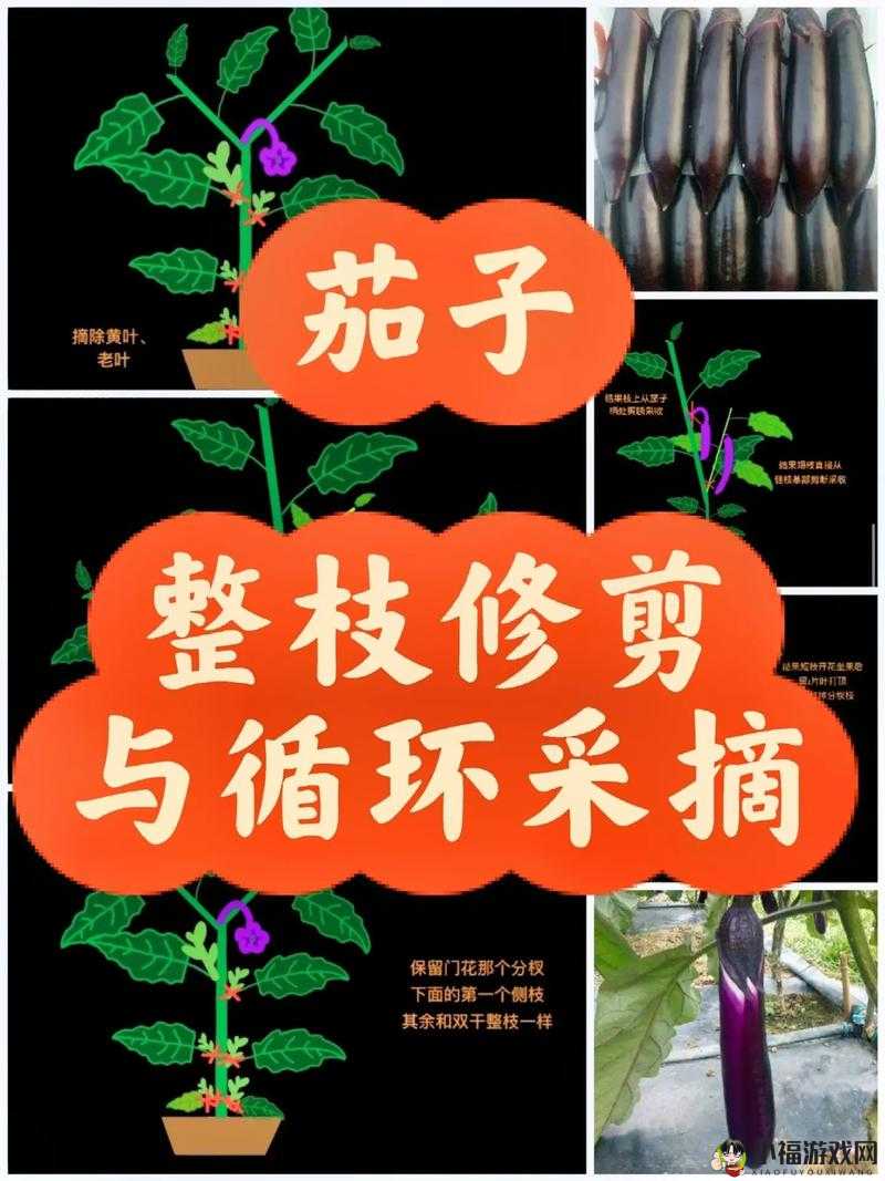 Dinkum种树技巧：高效种植秘诀分享