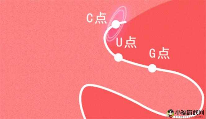 自 W 到高 C 的 25 种图：全面解读与分析