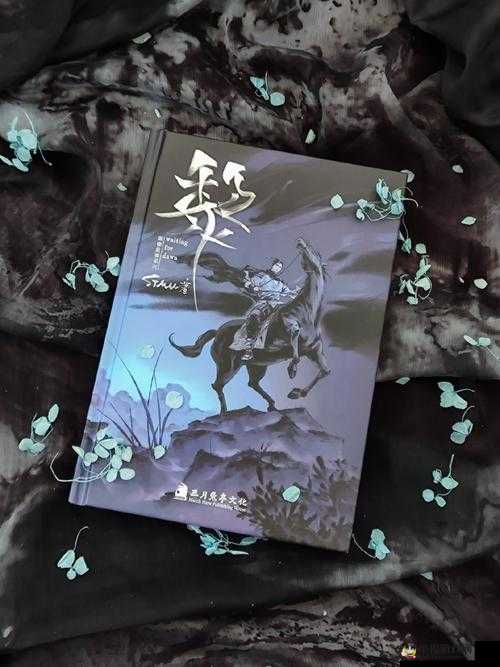 《阴真经》重现江湖，秘笈传世，武侠迷狂欢盛宴