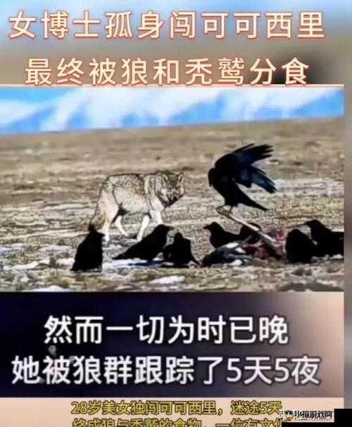 亚洲无人区编码国产激情：探索未知的激情之旅