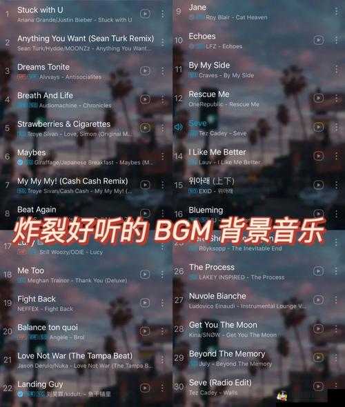 让音乐带你感受成熟的魅力：BGMBGMBGM 成熟交