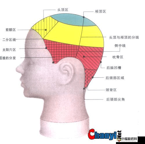 日韩一分区和二分区的区别：你知道吗？