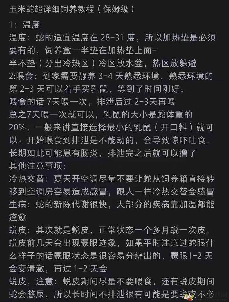 双黑蛇的温度 1V2：一场激烈对决