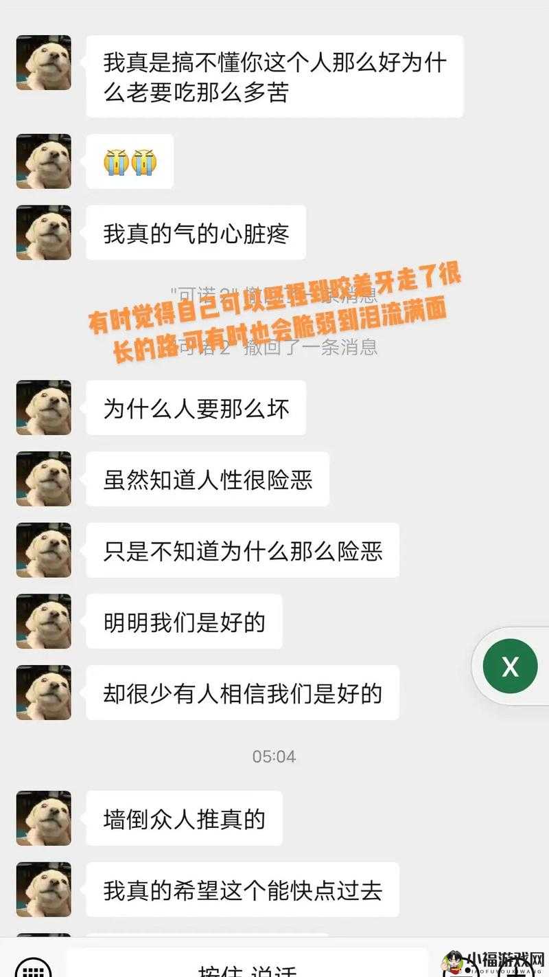 Do 时不堪入耳的话：揭示背后真相