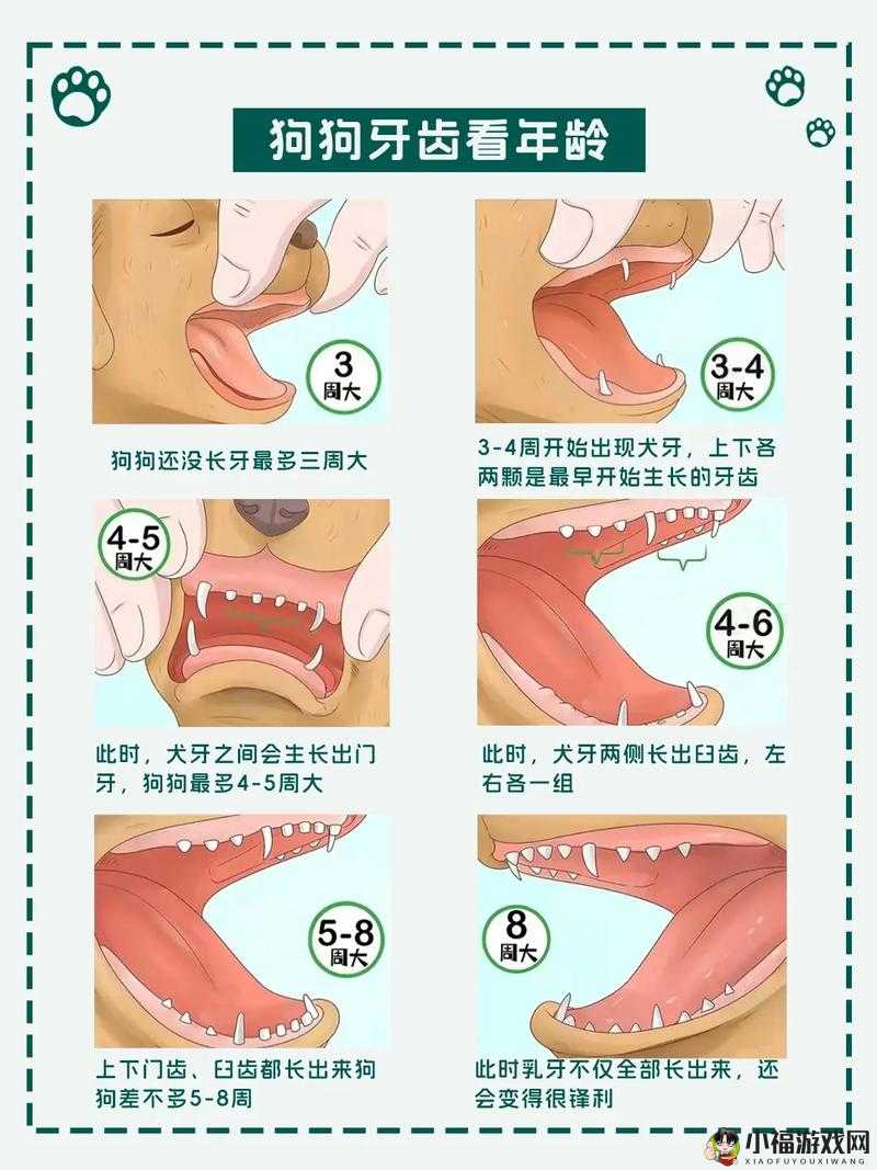 adc 年龄确认已满 18 岁葵花的成长故事