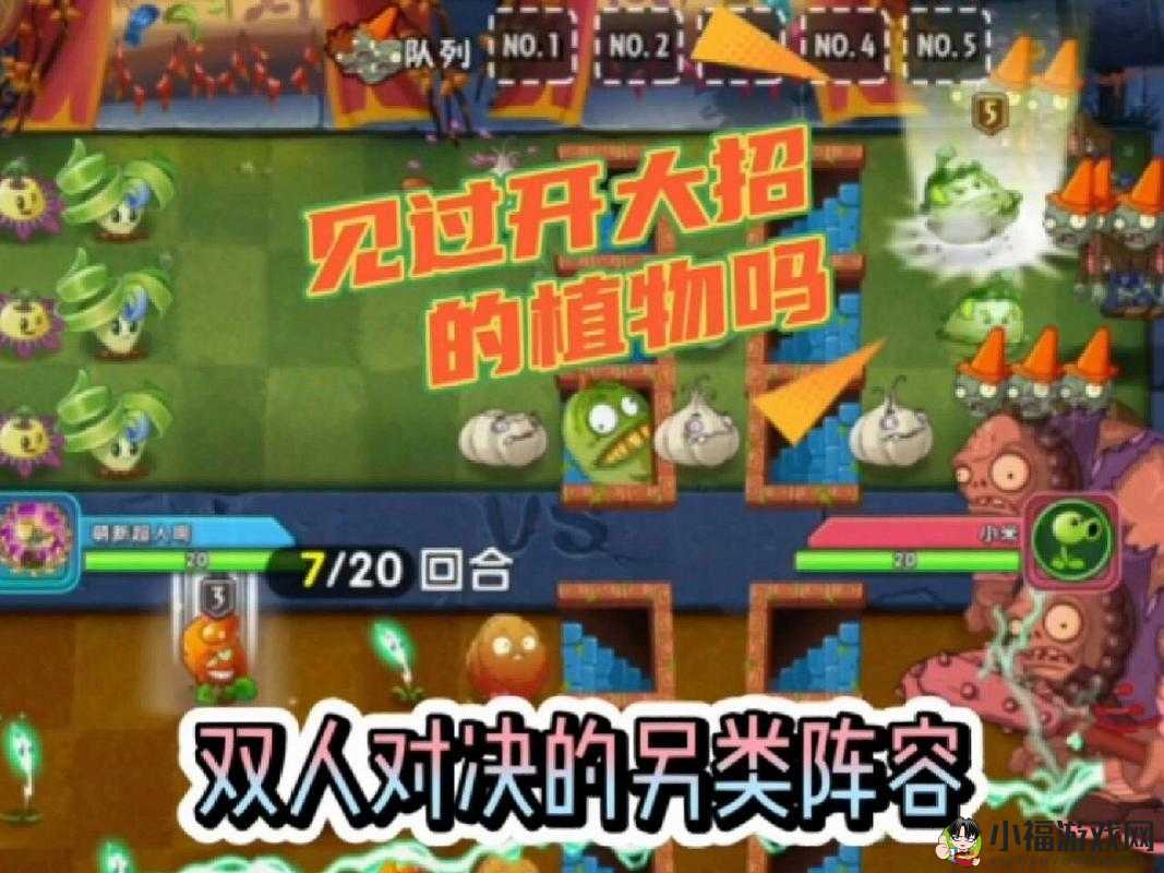 植物大战僵尸：双人对战，谁是最终的僵尸克星