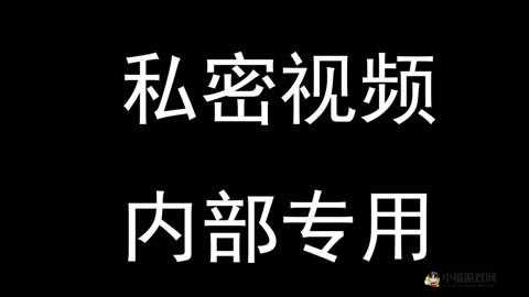 高清码 18X 免费爱妻艺：极致私密之享