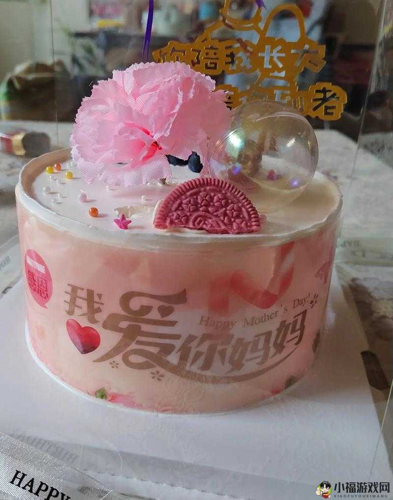 儿子送妈妈当生日礼物：是感恩还是另有隐情？