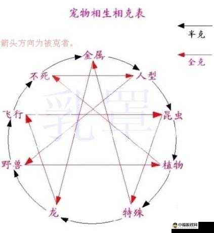 魔王日记：宠物属性相克详解与攻略宝典